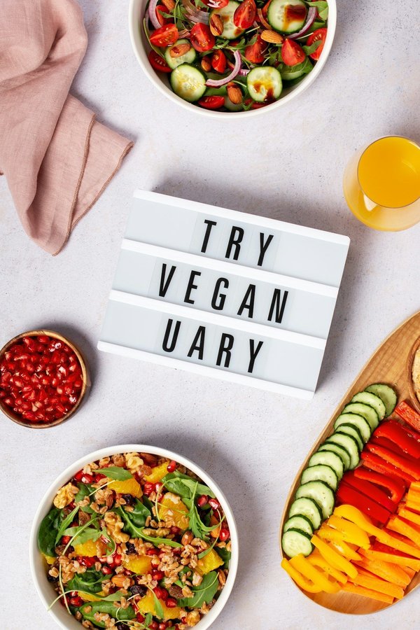 Wie stelle ich eine ausgewogene Ernährung für meinen vegan lebenden Hund sicher?